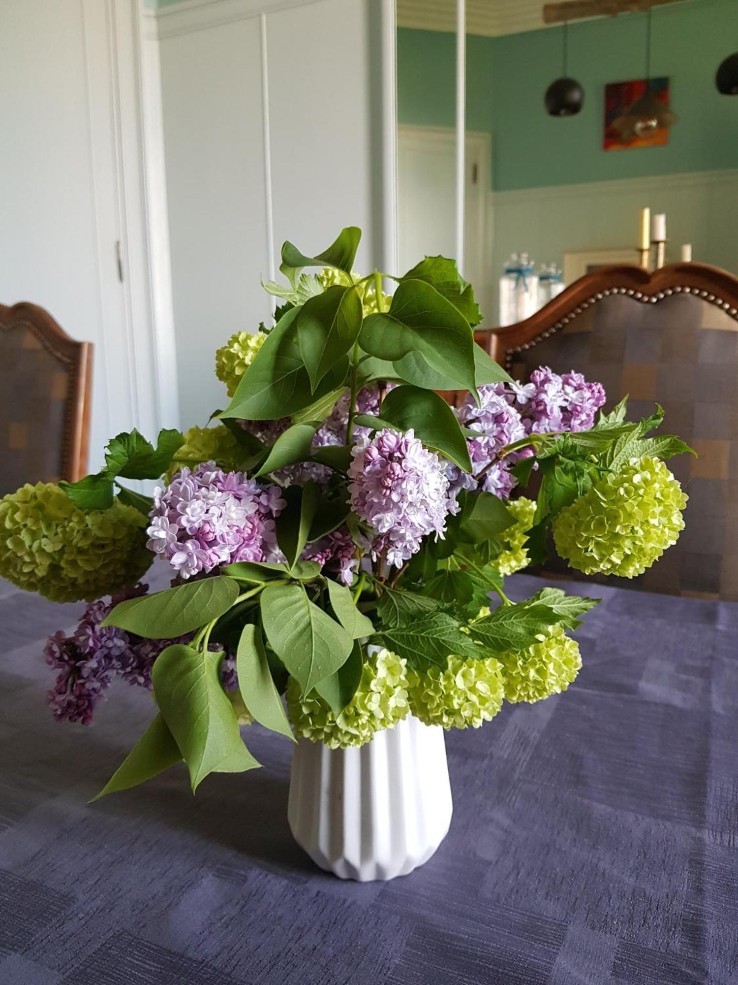 Domaine De L'Oie Rouge Bed & Breakfast Les Rosiers-sur-Loire Bagian luar foto